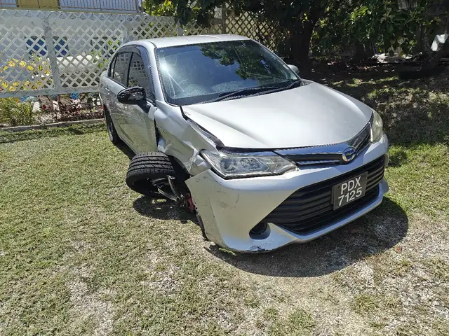 Toyota Axio Hybrid, Cocoyea