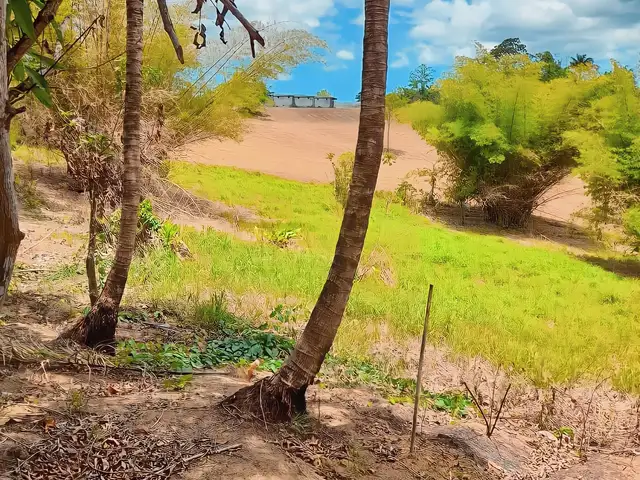 Agricultural land 27243 sq.ft, Princes Town