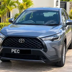 Toyota Other