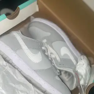 Nike Sb KIDS, Chaguanas