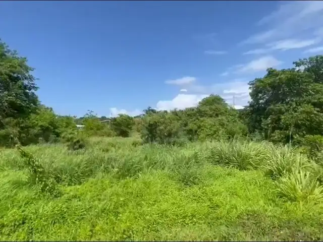 Residential land 10000 sq.ft, Mt Pleasant