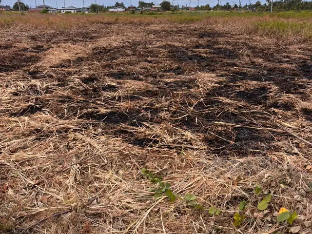 Residential land 4730 sq.ft, Couva