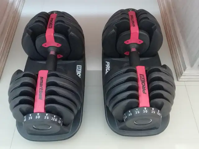 Adjustable free weights, Piarco