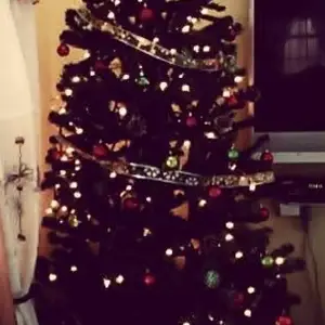 7.5 Feet Christmas Tree, Cunupia