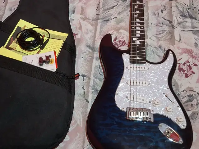 Electronic Guitar & Accessories, Diego Martin