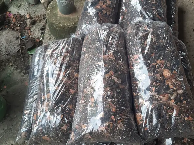 Manure Mix Cow Manure mix with top soil perlite and woodshavings, Chaguanas