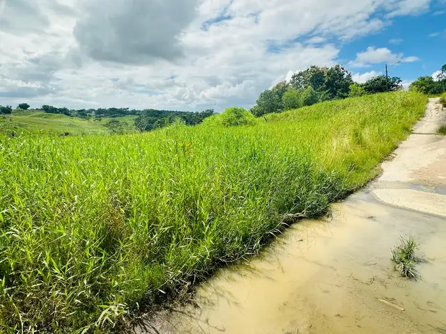 Residential land 10000 sq.ft, Freeport