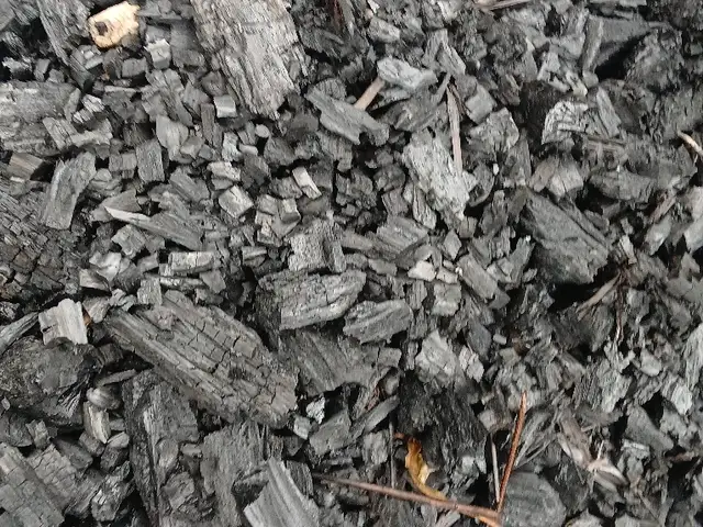 coals, Matura