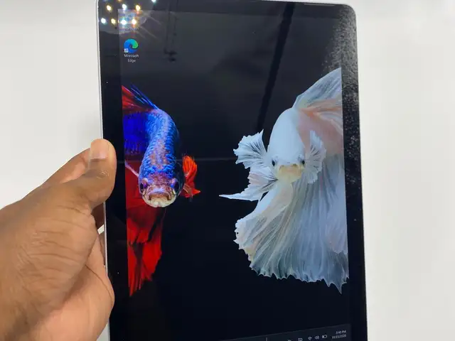 Microsoft Surface Pro tablets, St. Helena