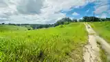 Residential land 10000 sq.ft, Freeport - 2