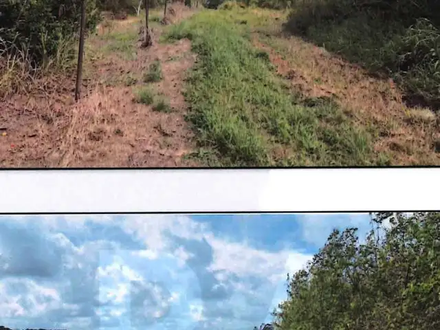 Agricultural land 320000 sq.ft, Chaguanas