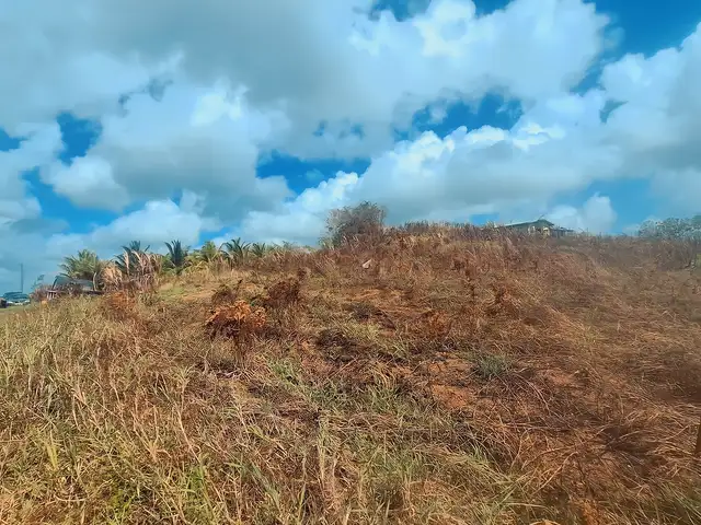 Residential land 5000 sq.ft, Princes Town