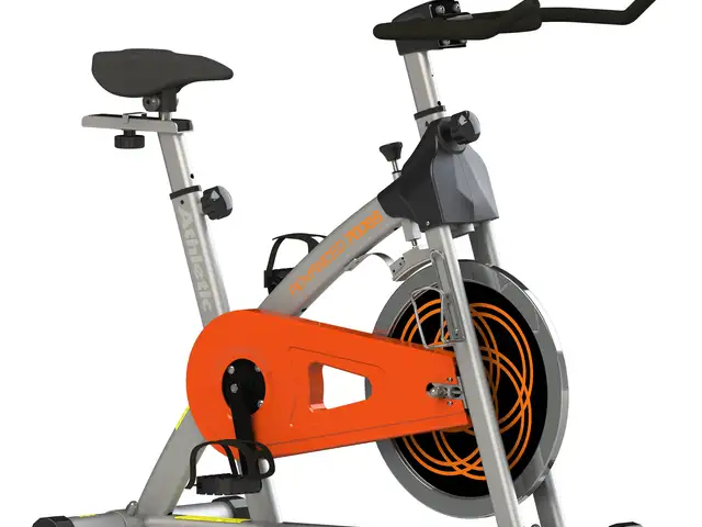 Spin Bike 700BS, Woodbrook