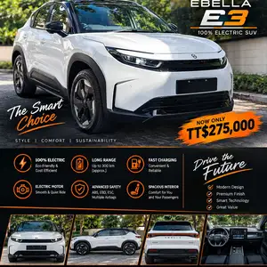 Toyota Other