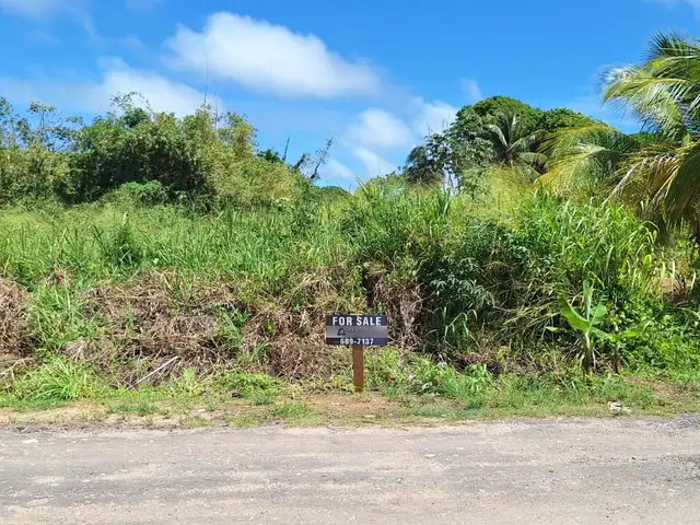 Residential land 5000 sq.ft, Mayaro