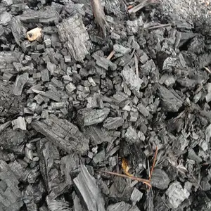 coals, Matura