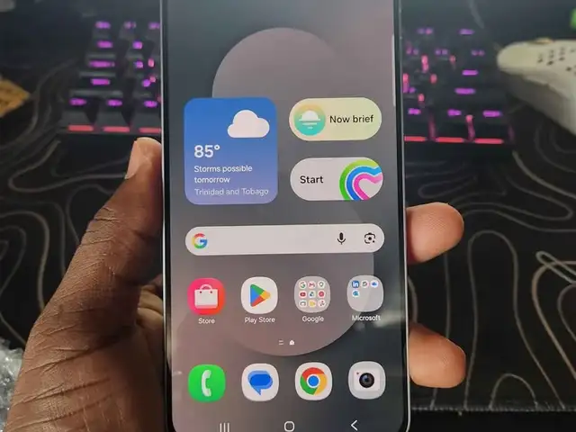 Samsung Galaxy S25, Siparia