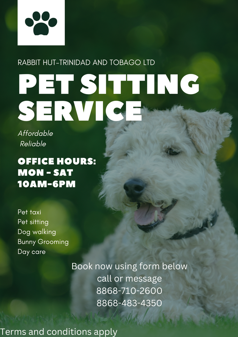 Pet Sitter Rabbit Sitters Near Me Pet Sitting Service TT$1 №395555