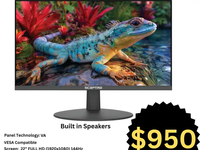 Sceptre 22inch Gaming Monitor, St. Augustine
