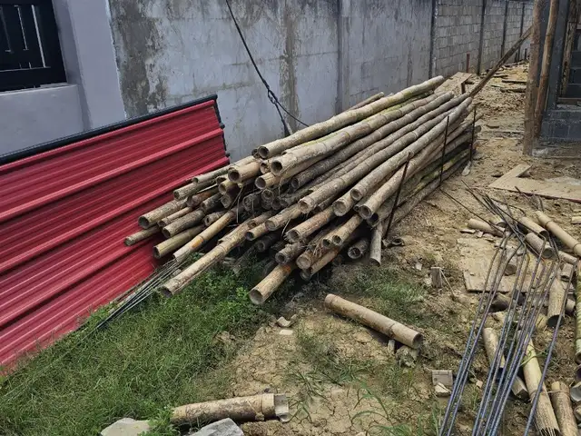 Bamboo 6 dollars per piece, Chaguanas