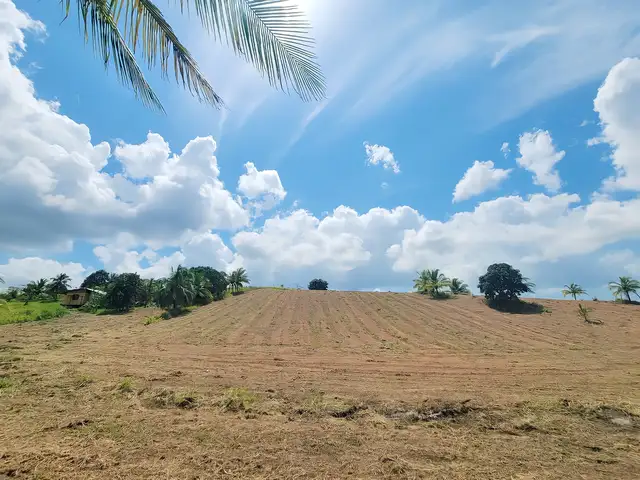 Residential land 217797 sq.ft, Barrackpore