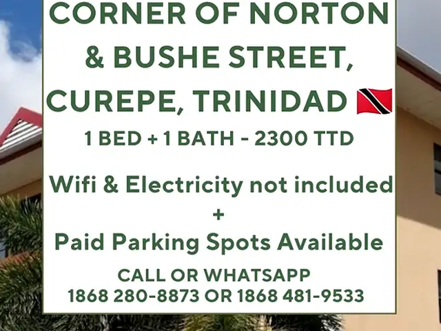 Studio apartment in Corner of Norton and Bushe Street to rent, Curepe
