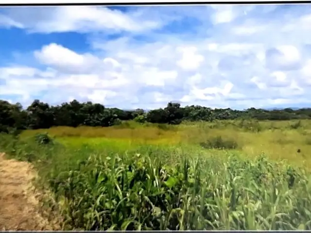 Residential land sq.ft, Sangre Grande