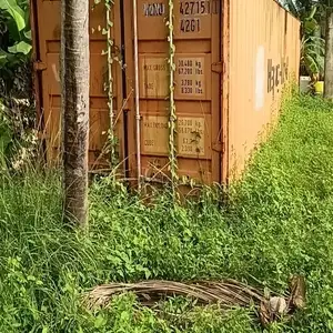 container, Tableland
