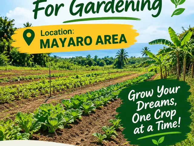 LAND FOR GARDEN USE, Manzanilla