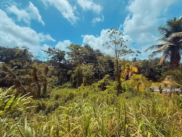 Residential land 21780 sq.ft, Sangre Grande