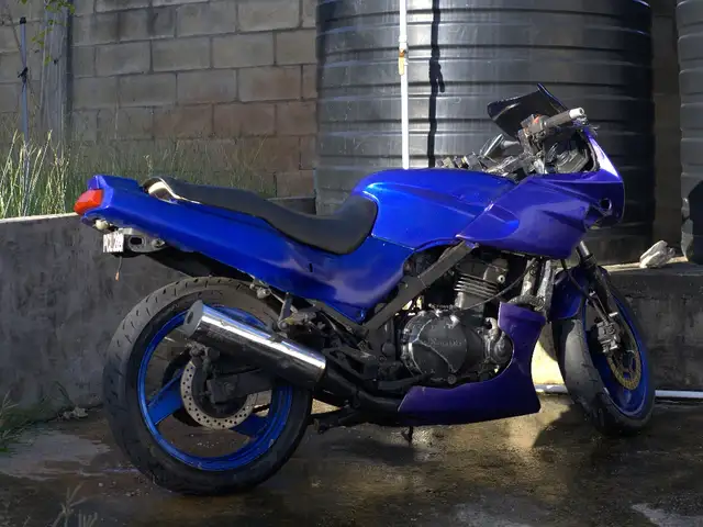 Kawasaki ninja ex500R, Champs Fleurs