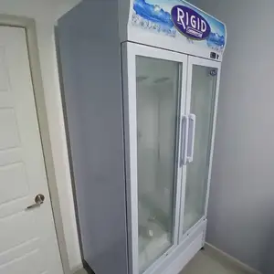 RIGID Commercial Double-Glass Door Display Chiller, Chaguanas