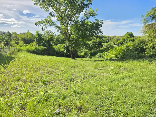 Residential land 10261 sq.ft, Princes Town