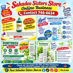 Wonder Rust remover, Lysol 190z, Fortress Spray Disinfectant, Couva