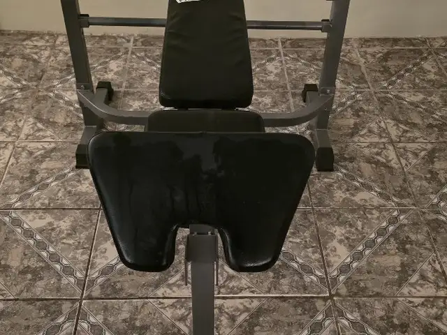 Olympic Weight Lifting Bench with Preacher Curl Pad, Trincity