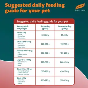 10kg puppy and adult dog food, Kelly Village
