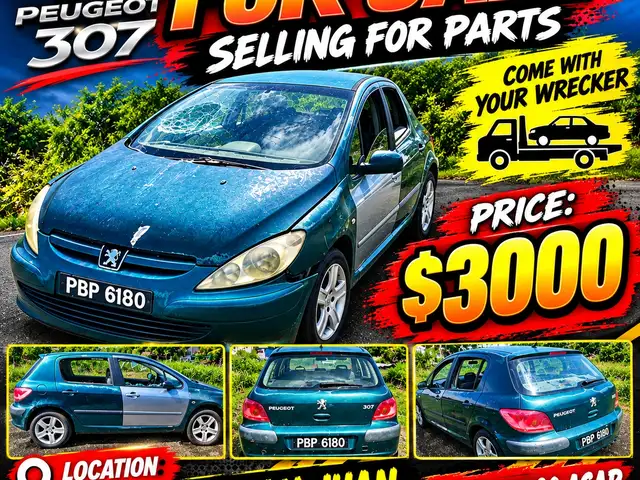 Peugeot 307