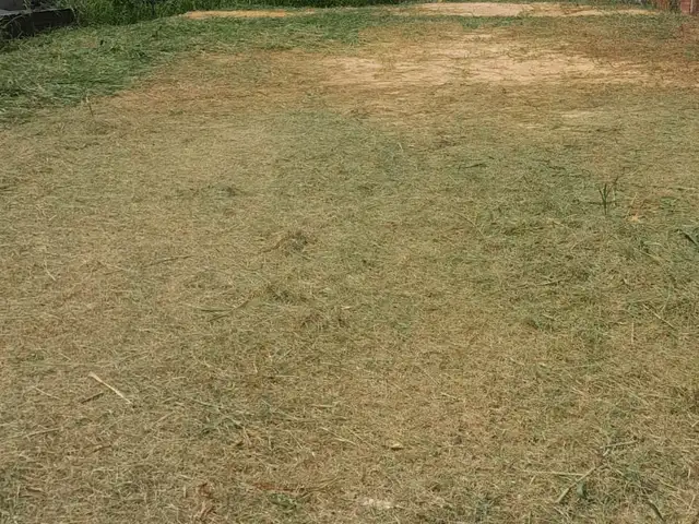 Residential land 6000 sq.ft, Cunupia
