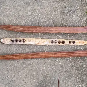 Moringa, Chaguanas