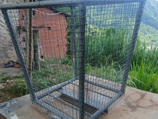meshed metal bin, Maraval