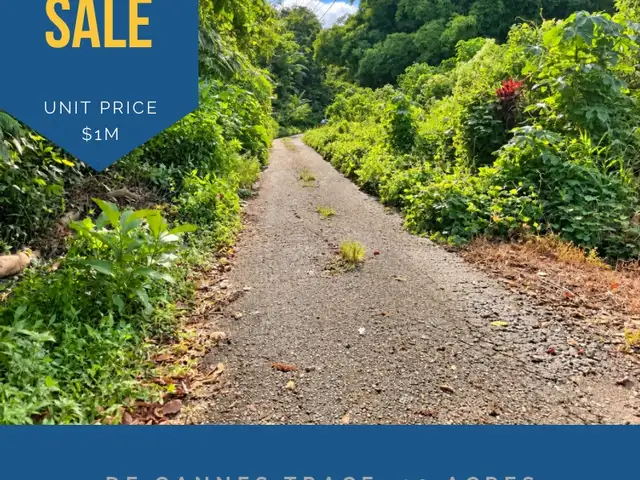 Agricultural land 400000 sq.ft, Sangre Grande