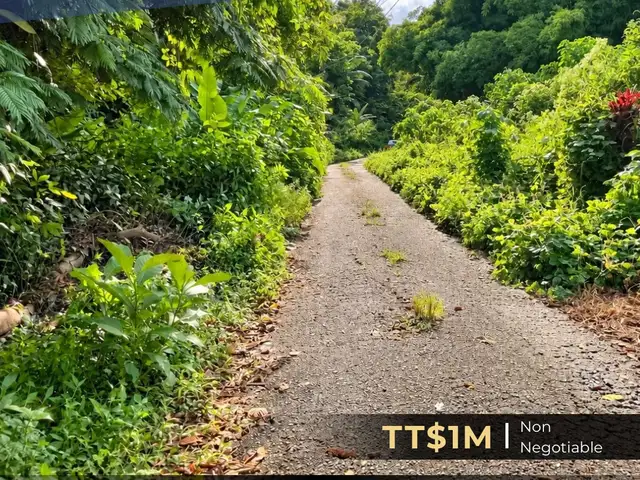 Agricultural land 435600 sq.ft, Sangre Grande