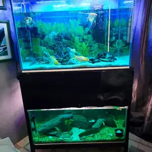 Double aquarium 4ft by 4ft each, Maraval