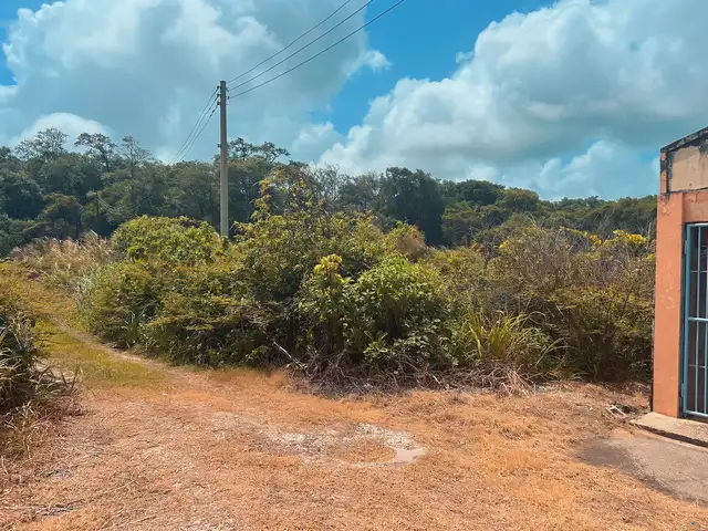 Residential land 5000 sq.ft, Manzanilla