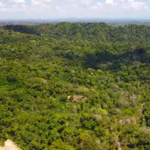 Agricultural land 9583200 sq.ft, Moruga