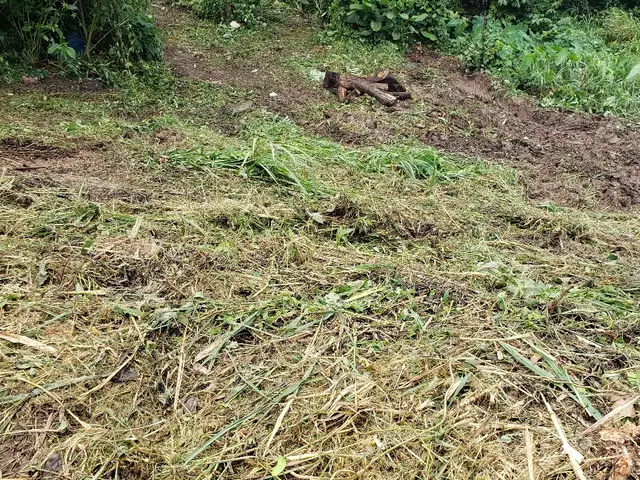 Residential land 4500 sq.ft, St. Helena