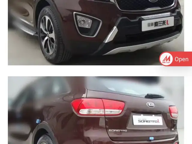 Any 2017 Sorento bumper defuser, Chase Village