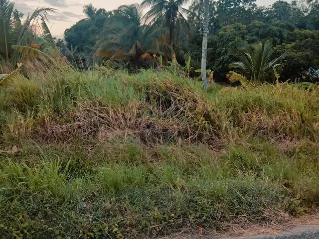 Residential land 67771 sq.ft, Siparia