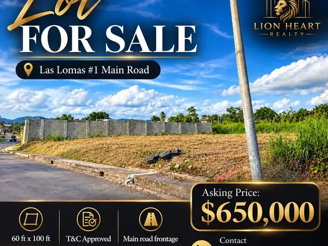 Residential land 6000 sq.ft, Las Lomas