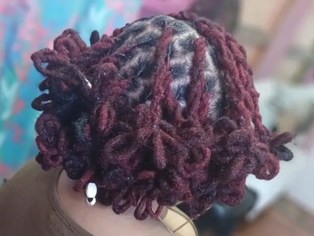 Braids/ Locs/ Weaves/ Wigs/ Colors/Grey Coverage/ Clarifying Wash & Treatments, Bon Accord